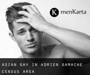 Asian gay in Adrien-Gamache (census area)