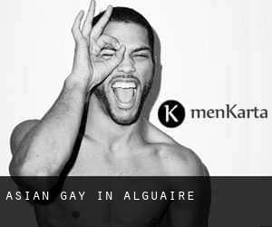Asian gay in Alguaire