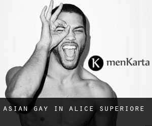 Asian gay in Alice Superiore