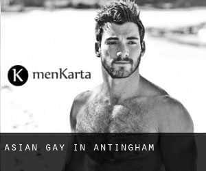 Asian gay in Antingham