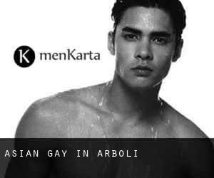 Asian gay in Arbolí
