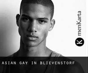 Asian gay in Blievenstorf