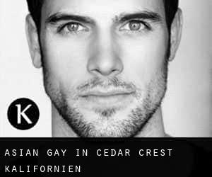 Asian gay in Cedar Crest (Kalifornien)