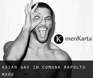 Asian gay in Comuna Rapoltu Mare
