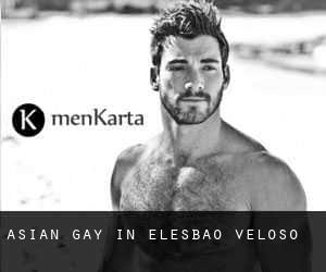 Asian gay in Elesbão Veloso