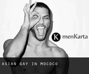 Asian gay in Mococo