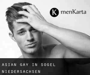 Asian gay in Sögel (Niedersachsen)