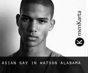 Asian gay in Watson (Alabama)