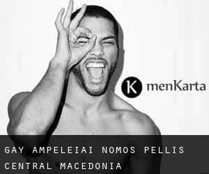 gay Ampeleíai (Nomós Péllis, Central Macedonia)