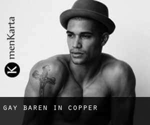 gay Baren in Copper