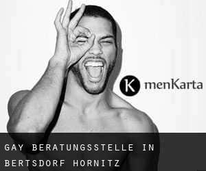 gay Beratungsstelle in Bertsdorf-Hörnitz