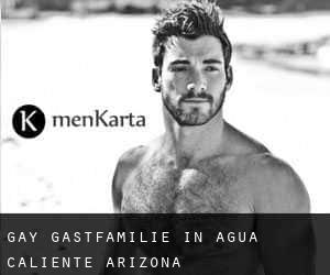 gay Gastfamilie in Agua Caliente (Arizona)