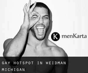 gay Hotspot in Weidman (Michigan)