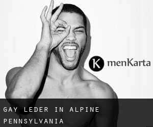 gay Leder in Alpine (Pennsylvania)