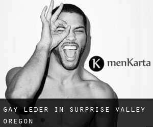 gay Leder in Surprise Valley (Oregon)