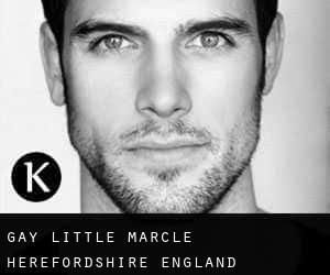 gay Little Marcle (Herefordshire, England)