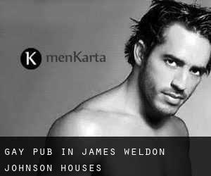 gay Pub in James Weldon Johnson Houses