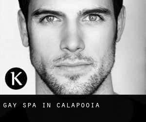 gay Spa in Calapooia