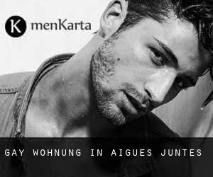 gay Wohnung in Aigues-Juntes